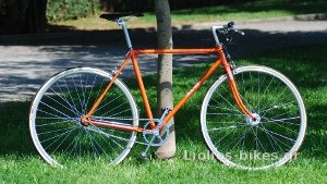 VeloSolex